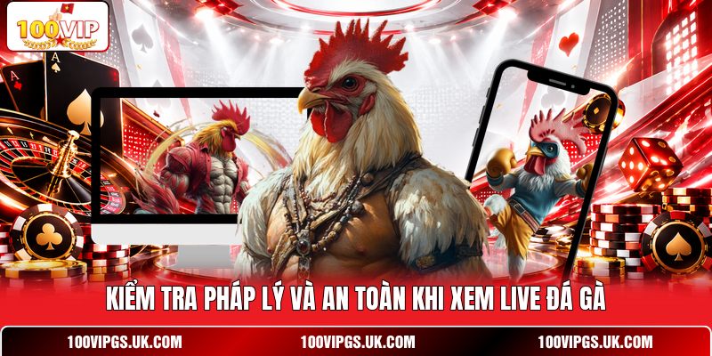 Kiểm tra pháp lý và an toàn khi xem live đá gà