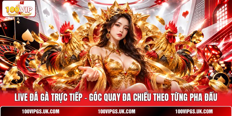 Live Đá Gà Trực Tiếp