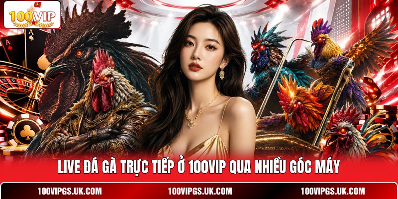 Live đá gà trực tiếp ở 100VIP qua nhiều góc máy